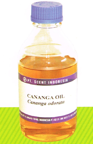 cananga oil